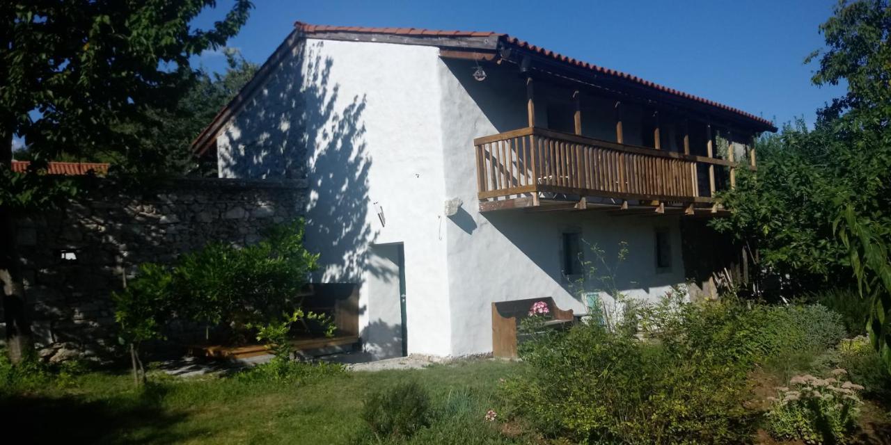 Apartmaji Hedera Komen Exterior photo