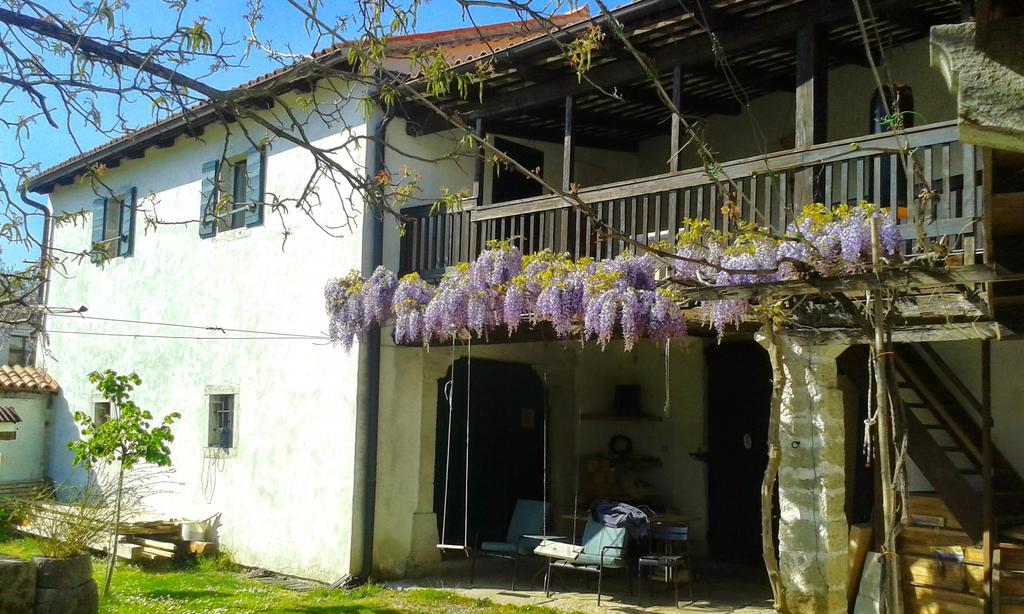 Apartmaji Hedera Komen Exterior photo